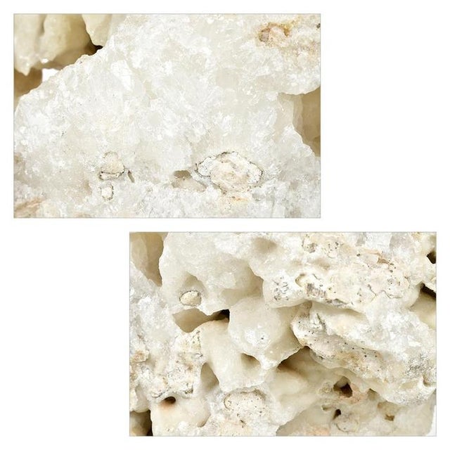 Calcite Concretion on Wooden Base For Sale - Image 4 of 8