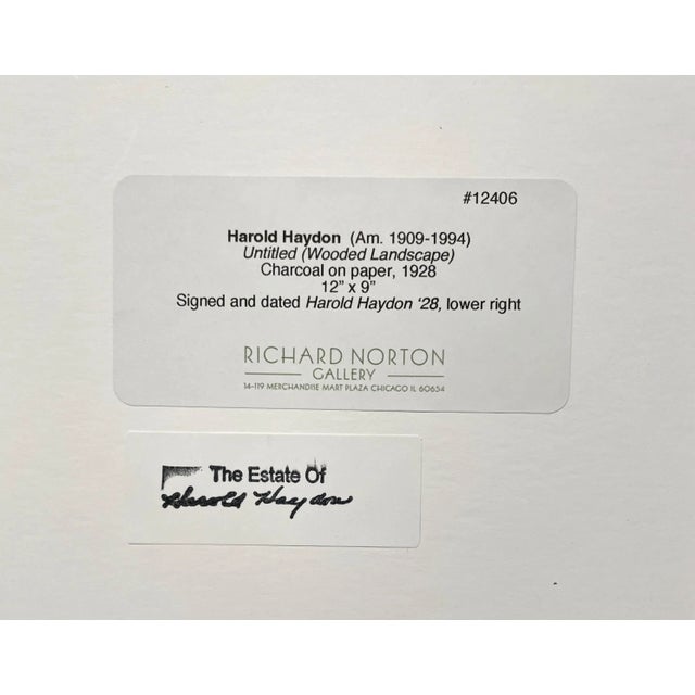 1928 Charcoal on Paper Drawing of a Wooded Landscape by Artist Harold Haydon For Sale - Image 4 of 5