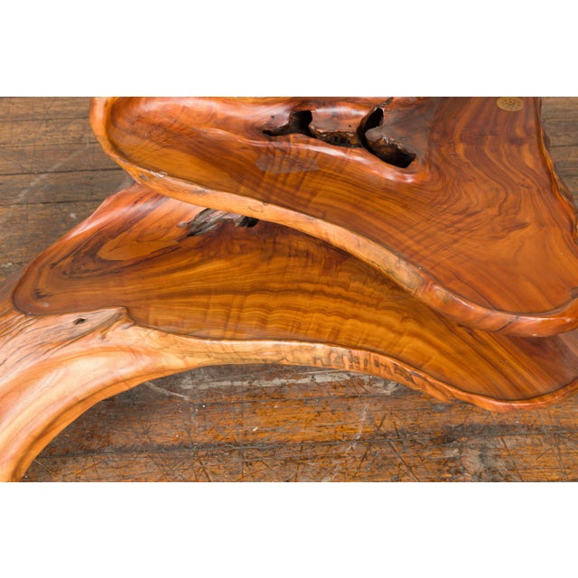 Brown Indonesian 20th Century Lacquered Root Stand Drilled to Work as a Fountain For Sale - Image 8 of 13