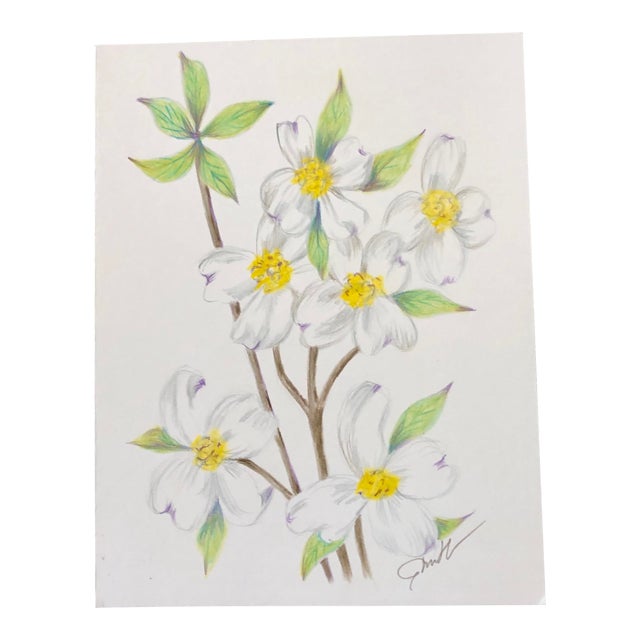 Original Colored Pencil Drawing From Apple Blossoms Chairish