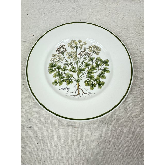 Tiffany and Co. Vintage Tiffany Herbs Plates For Sale - Image 4 of 12