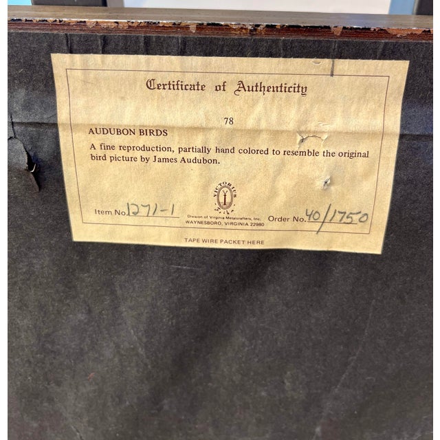 1960s XLarge 35"h Reproduction Prints of Audubon "Birds of America" Engravings by R. Havell -Set of 2 For Sale - Image 17 of 17