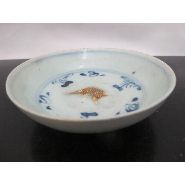 15th Century & Earlier Ming Fish Relief Plate Hongzhi Zhengde (1488 – 1521) Chinese Antique Porcelain For Sale - Image 5 of 7