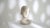 20th Century Belgian Concrete Bust For Sale - Image 9 of 18