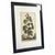 1696 Flowering Raspberry Hand-Colored Botanical Engraving by Abraham Munting For Sale - Image 4 of 8