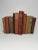 Muted Reds and Browns Vintage Book Set - 11 Pieces For Sale - Image 4 of 4