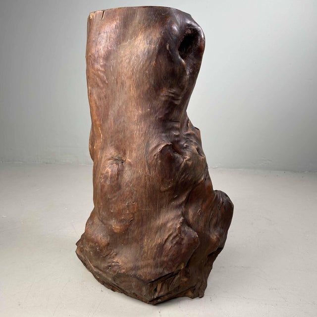 Rustic Japanese Decorative Burl Wood Tsuge, 1920s For Sale - Image 3 of 18