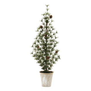 Potted Mini Pine Tree (Set of 2) For Sale