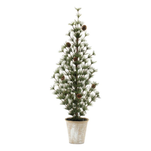 Potted Mini Pine Tree (Set of 2) For Sale