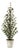 Potted Mini Pine Tree (Set of 2) For Sale