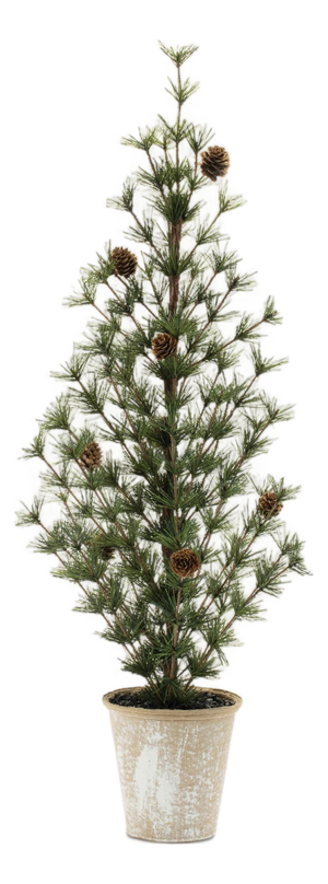 Potted Mini Pine Tree (Set of 2)