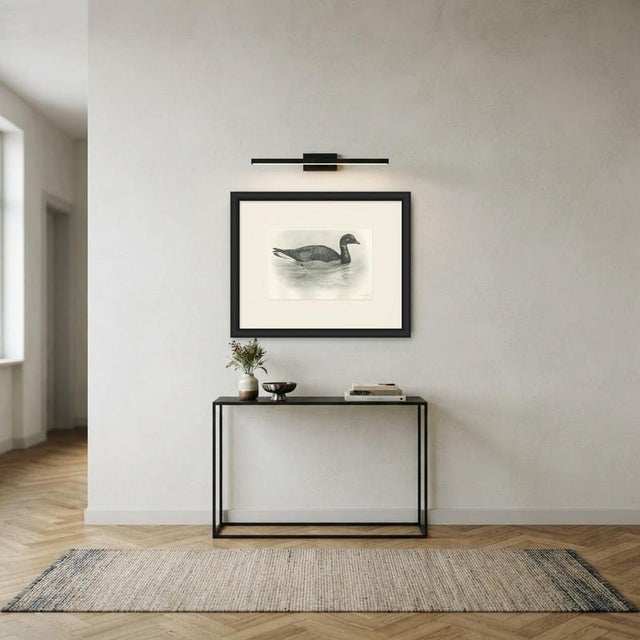 Paper After Lilian Medland, Brent Goose, 1909, Print For Sale - Image 7 of 8