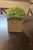 LOVE artificial flowers and wooden box. Good condition. Box shape 4x4 and 7 inches tall.