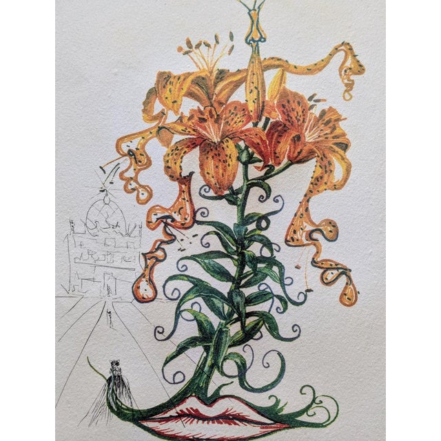 Salvador Dali, Tiger Lilies, 1972, Hand-Signed Original Etching in Colors, 1972 For Sale - Image 7 of 12