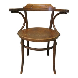 Large Roomy Bentwood Carver Chair This Is a and Charming Piece, 1900 For Sale