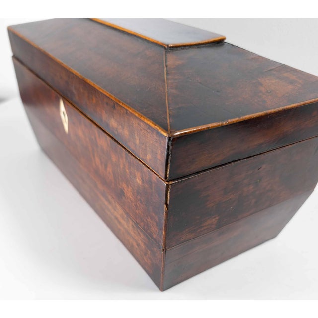 19th Century English Regency Sarcophagus Form Mahogany Tea Caddy Box For Sale - Image 17 of 18