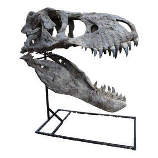 Unknown, Tyrannosaurus Head Fossil for Museum, 1800s, Resin For Sale