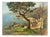 Unknown, In the Hills Above Camogli, 1970s, Oil on Panel For Sale