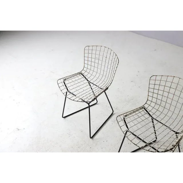 Set of Childrens Wire Chairs by Harry Bertoia for Knoll, 1950s For Sale - Image 9 of 11