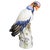 Large King Vulture from Meissen, 1880 For Sale