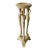 20th Century Italian Carved, Painted Solid Wood Figural Tripod Candle Stand For Sale