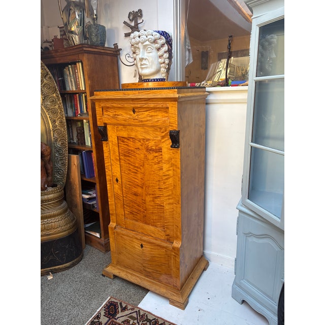 Mid 19th Century Biedermeier Style Tall Cabinet For Sale - Image 10 of 15