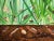 Illustration Original Ecotoxicology Illustration "Creepy Crawly Pop-Art" Circa 1981 Bugs Insects For Sale - Image 3 of 9