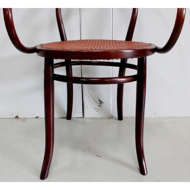 N ° 209 Le Corbusier Armchair from Thonet, 1920s For Sale - Image 13 of 18