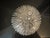2020s Michael Aram Ocean Series Sea Urchin Bowl Signed For Sale - Image 5 of 5