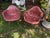 Pair of MCM Eames Style Maroon Fiberglass Chairs For Sale - Image 9 of 9