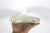 Glass Vintage Glass Ferrari Testarossa Model Paperweight Italian Crystal For Sale - Image 7 of 11