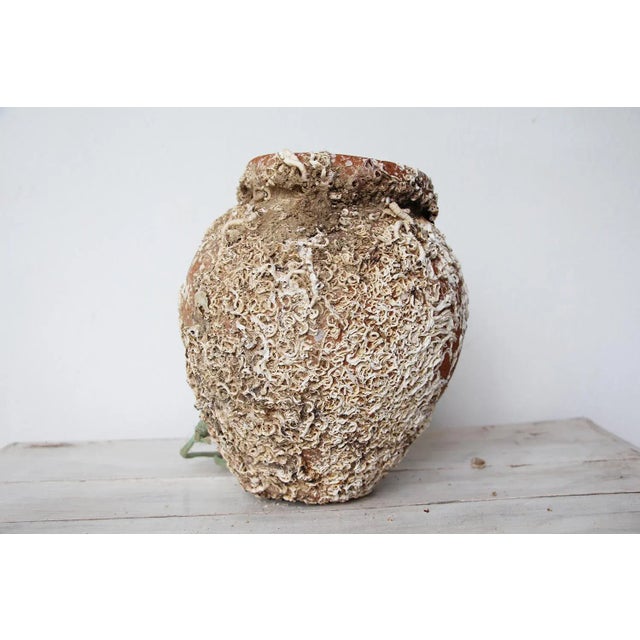 19th Century Terracotta Octopus Trap Vase For Sale - Image 12 of 12