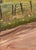 The Long Road by Michael DeVore | Oil on Board Landscape with a dirt road and fields For Sale - Image 4 of 4