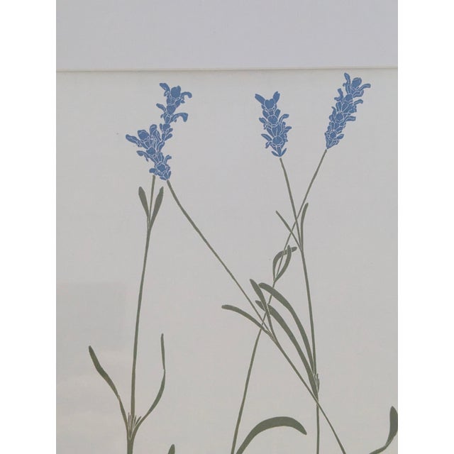 Henry Evans Botanical Linocut Prints Framed- Set of 4 For Sale - Image 12 of 17