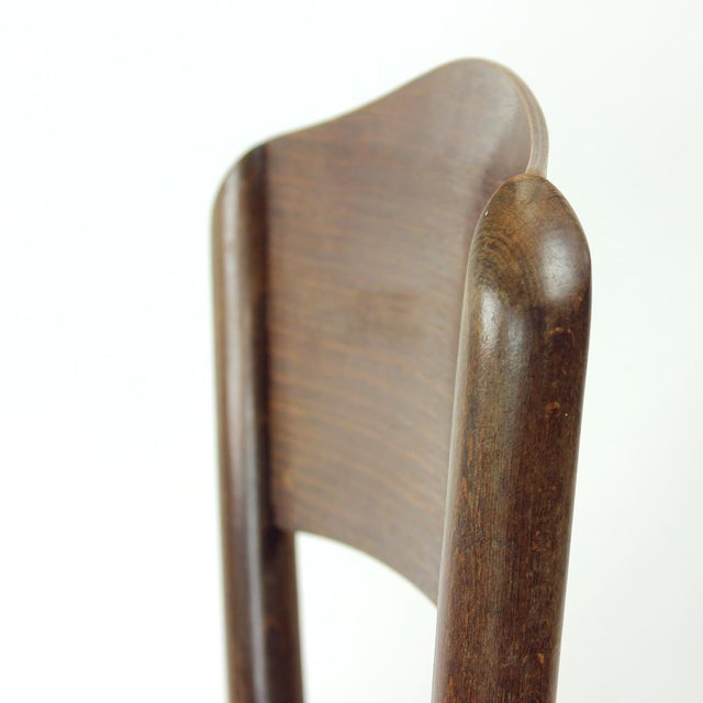 Wood Bentwood Bistro Chair from Tatra, Czechoslovakia, 1940s For Sale - Image 7 of 12