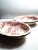 1900 - 1909 1900s Cambridge by Wood & Sons Red and White English Pottery For Sale - Image 5 of 9
