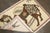 Turkish Vintage Turkish Caravan Driver Rug no. j5302 For Sale - Image 3 of 3