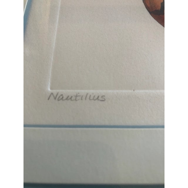 Gallery Wall Collection-6 Original Lithograph Nautical Shell Prints by Listed Artist Dan Mitra- Set of 6 For Sale - Image 9 of 12