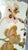 Lamp Pair Flowers For Sale - Image 13 of 17
