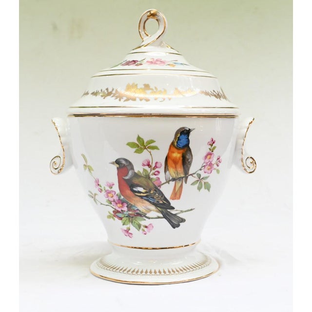 French Sevres Porcelain Lidded Pots with Parrots, Set of 2 For Sale - Image 5 of 9