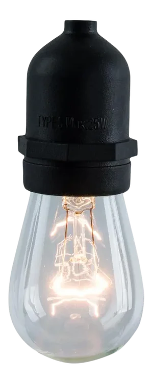 14' Decorative Outdoor String Lights with Clear Incandescent 11 Watt Bulbs in Black
