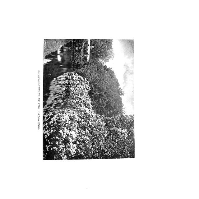 Paper "Wall & Water Gardens" 1901 Jekyll, Gertrude For Sale - Image 7 of 13