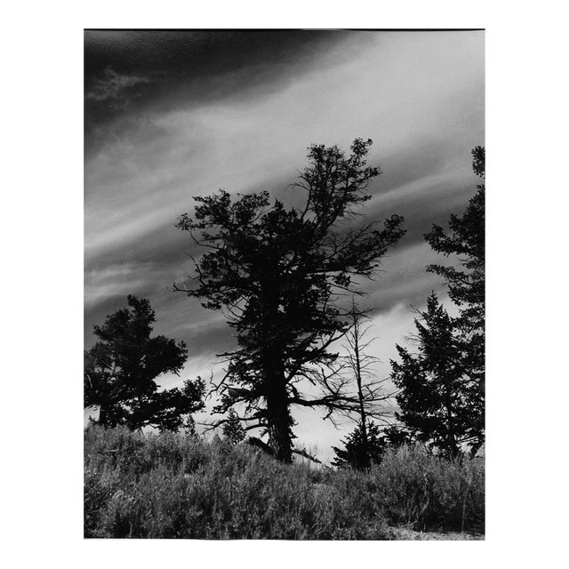 1969 Yellowstone National Park Landscape Photograph by Don Ware For Sale