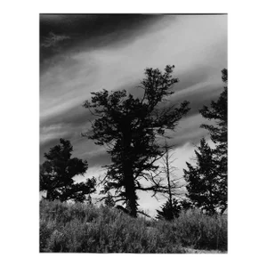 1969 Yellowstone National Park Landscape Photograph by Don Ware
