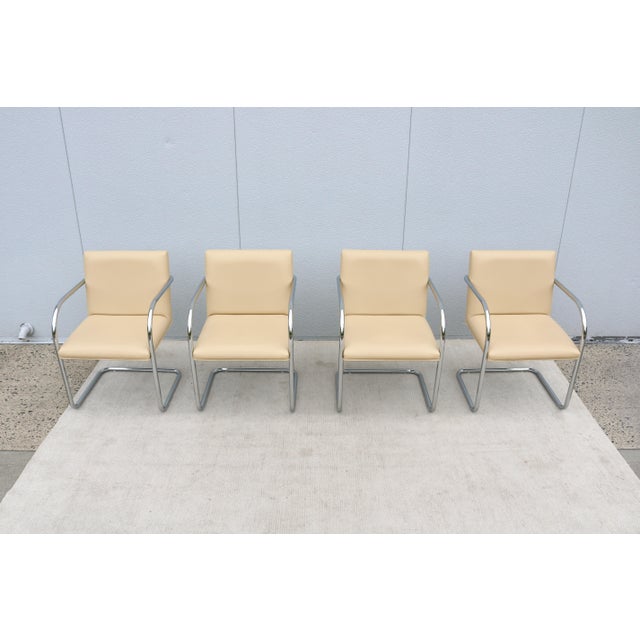 Ludwig Mies Van Der Rohe Brno Tubular Chairs in Beige Leather by Gordon, Set of 4 For Sale In New York - Image 6 of 18