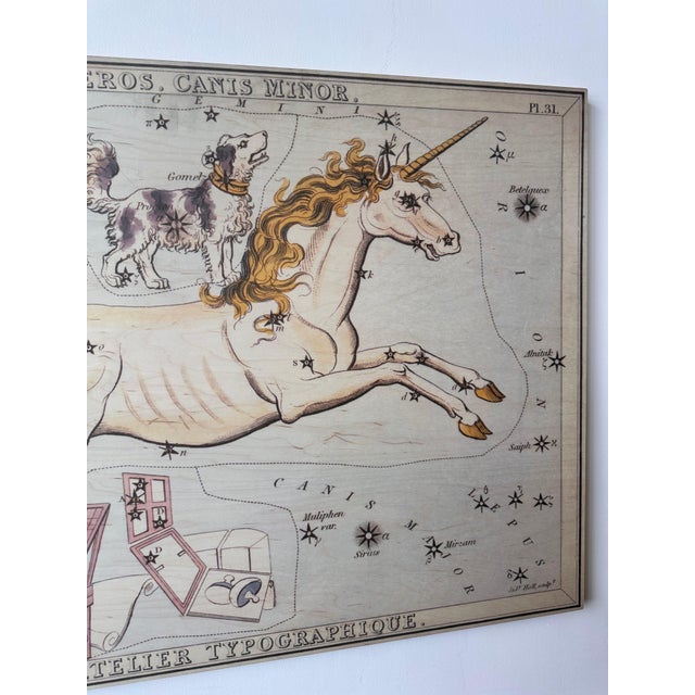 Monoceros and Canis Minor Constellation Map on Board Artwork For Sale - Image 10 of 12
