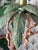 Vintage Tropical Tiki Jungle Safari Banana Palm Tree and Monkey Metal Table Lamp Attributed to Frederick Cooper For Sale - Image 12 of 18