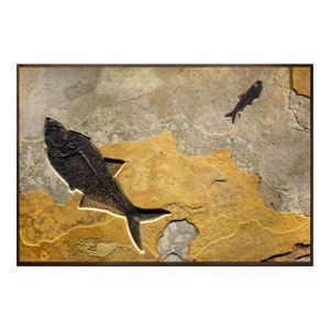 Fossil Fish Mural 8780am