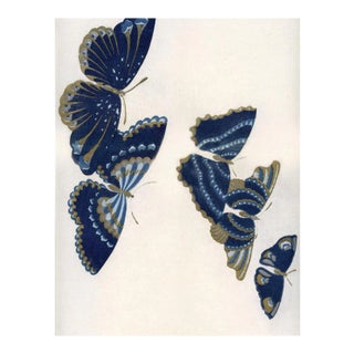 Kono Butterflies 17, Unframed Artwork For Sale