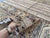 Afghan Gray Khorjin Hand-Knotted Wool Rug - 6'8" X 9'8" For Sale - Image 12 of 13